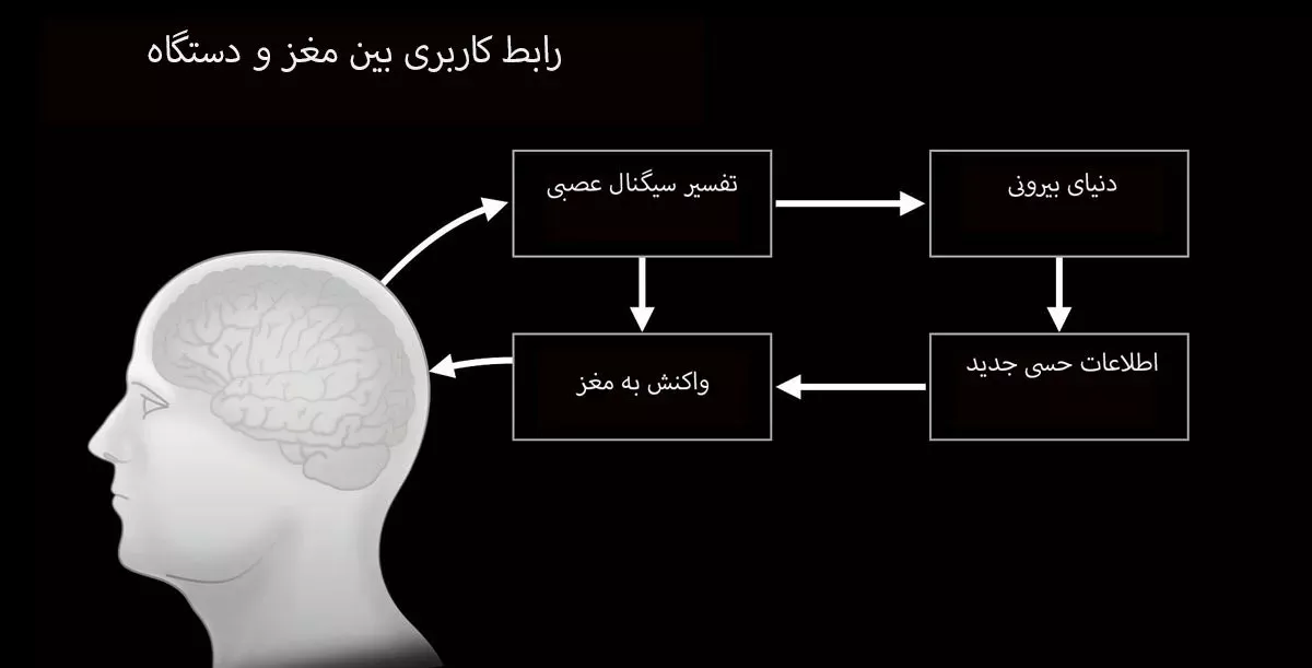 تراشه مغزی N1 ساخته شده توسط نیورالینک ( Neuralink )